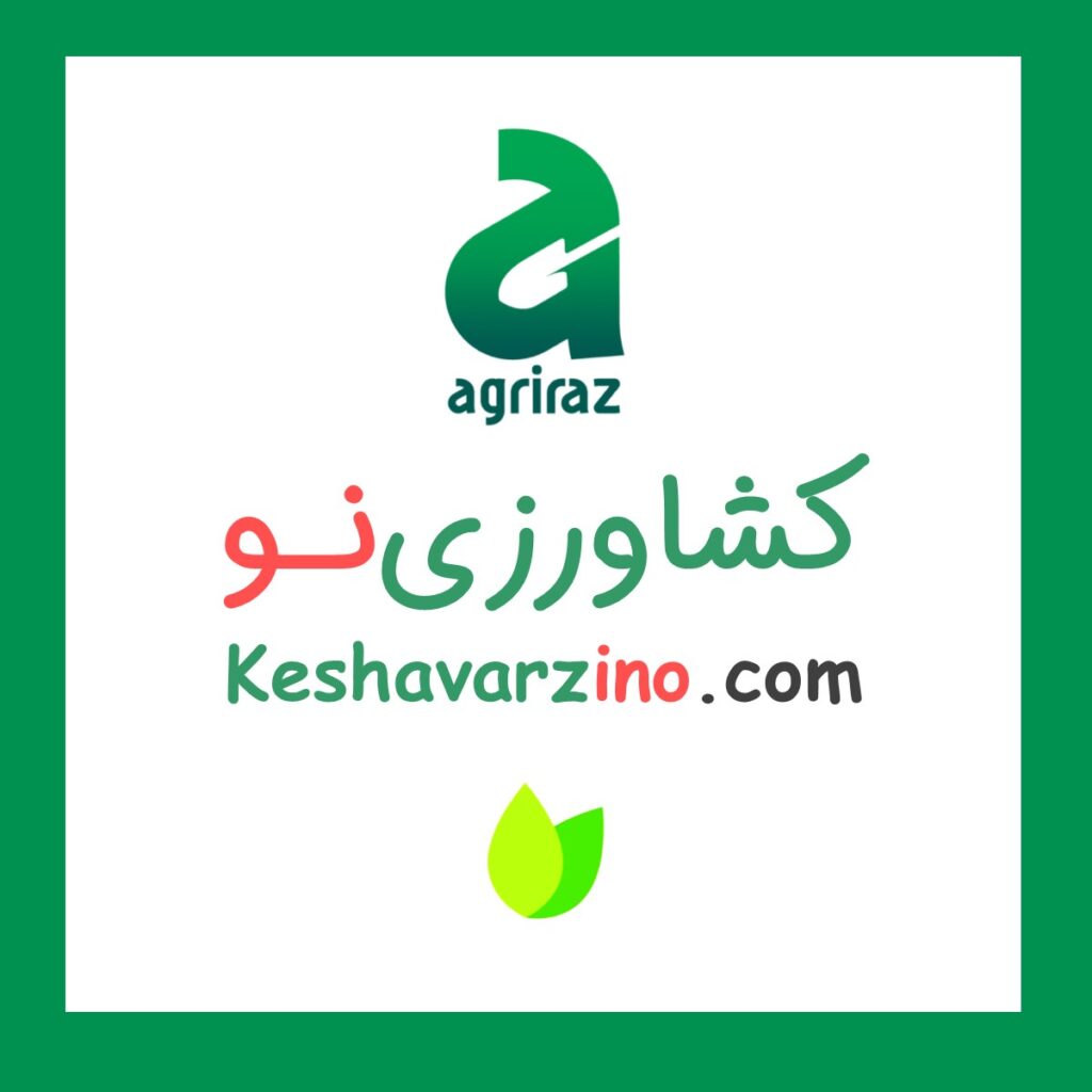 مس پودری۲۵% کوپر۲۵۰ گرمی ایرانی